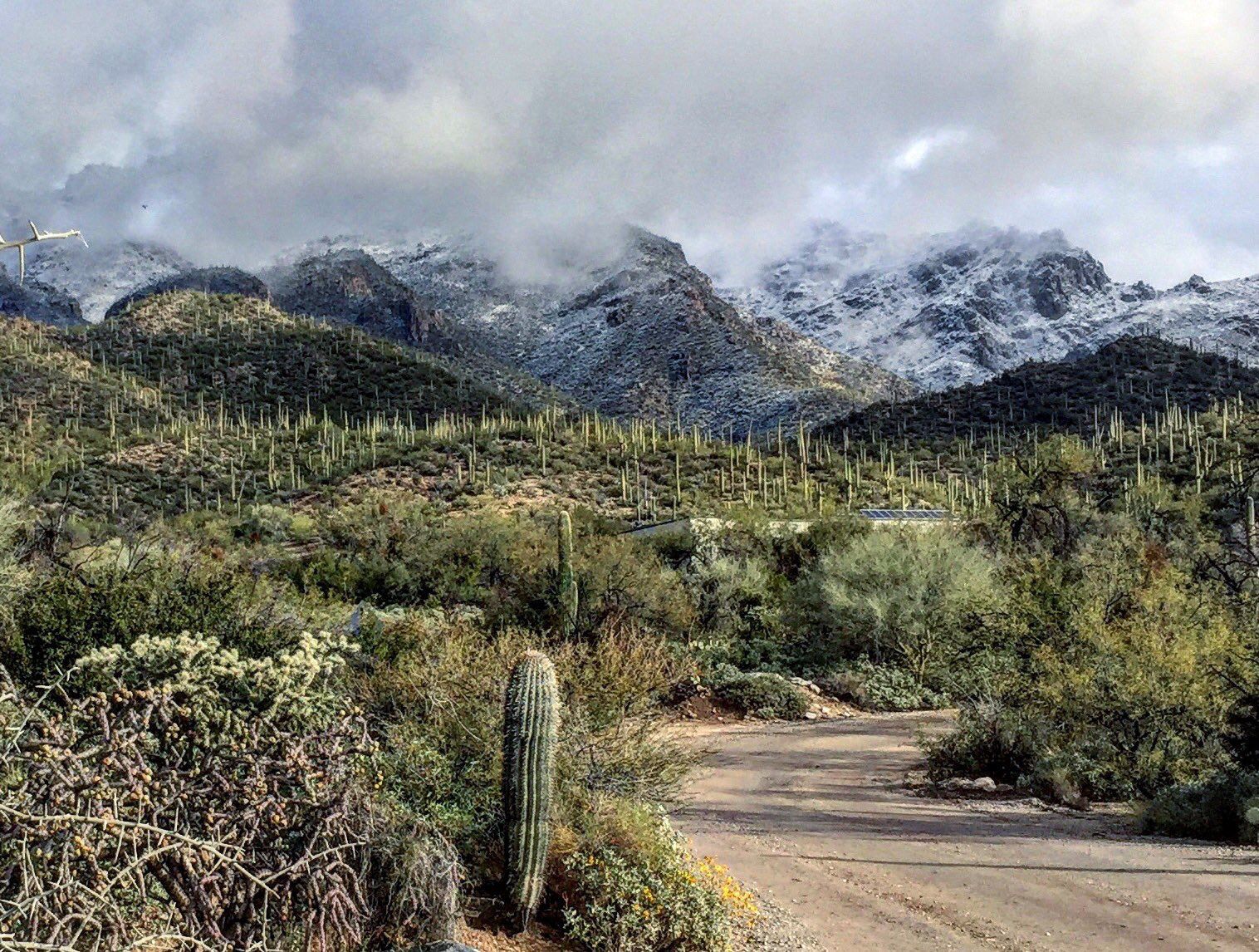 Snowy Catalinas New Year's Morning 1/1/19
